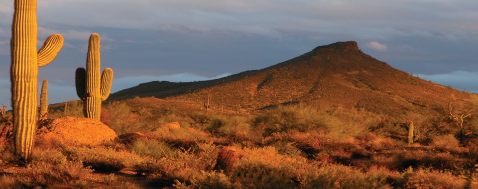 Desert Ranch views