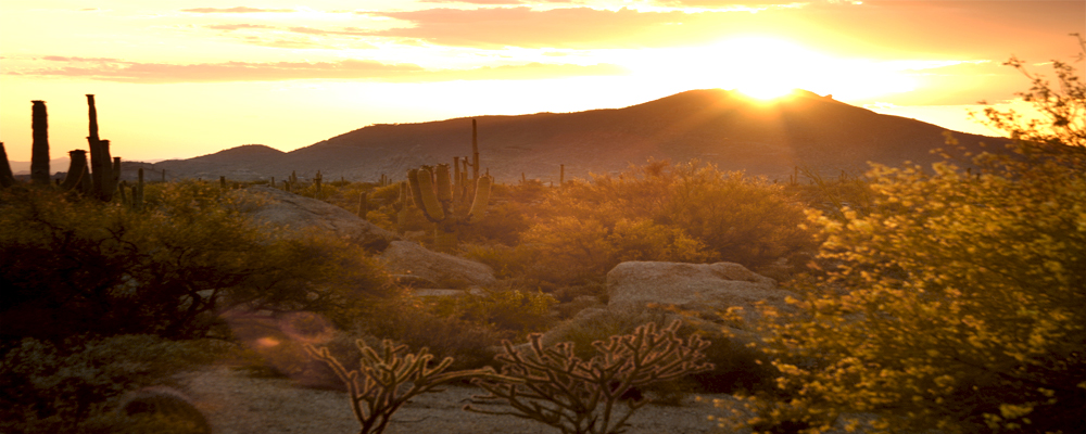 Desert Ranch Community